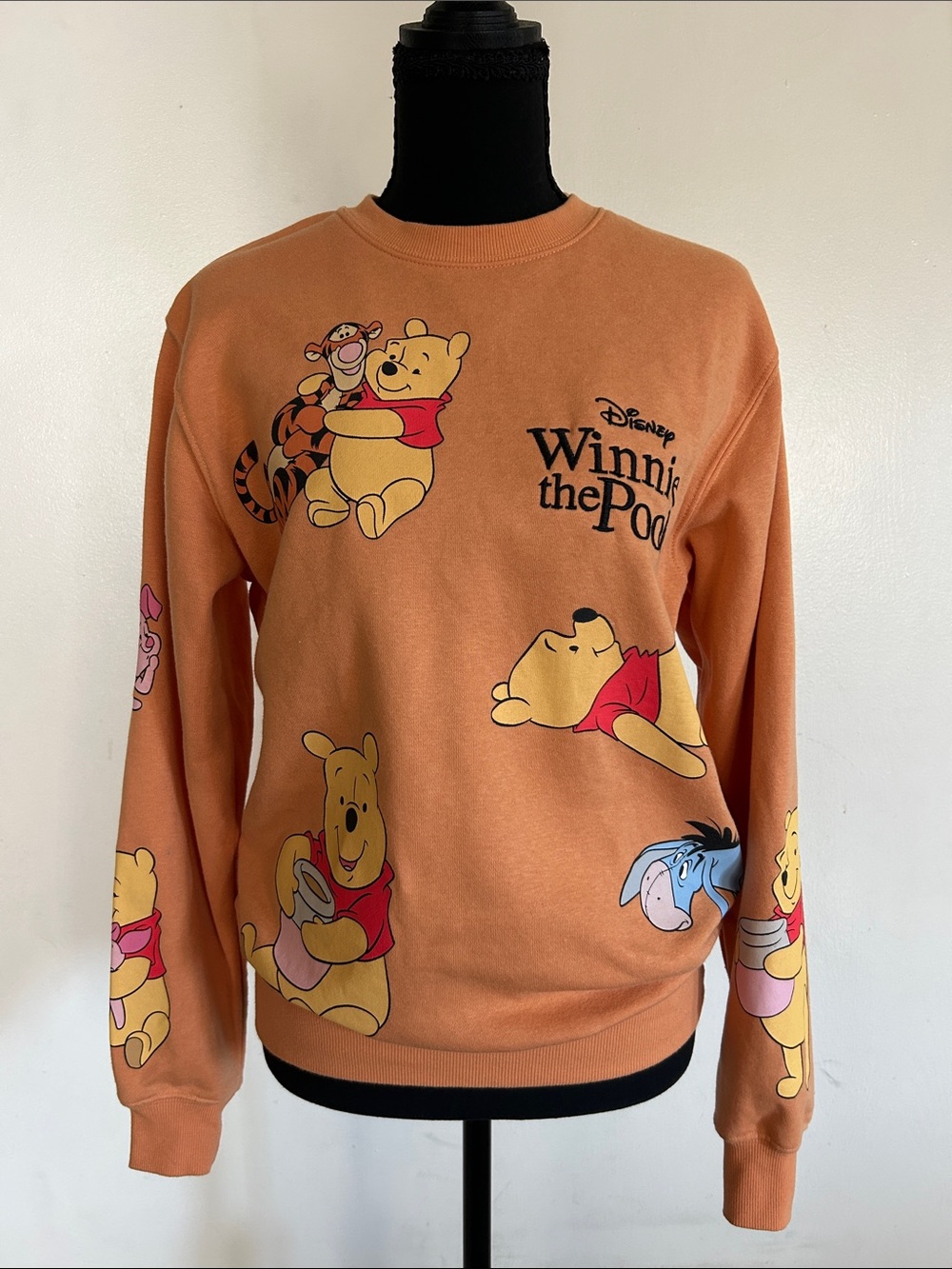 Disney Winnie the Pooh and Friends Graphic Pullover Sweater